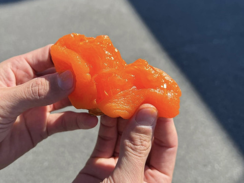 「ぱくっと」ひとくちあんぽ『あんぽ柿』約１kg