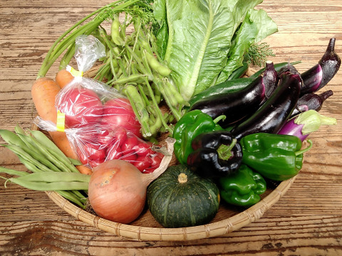 八ヶ岳高原から直送!旬の野菜セット8品目以上　100サイズ　トマトピューレ１瓶