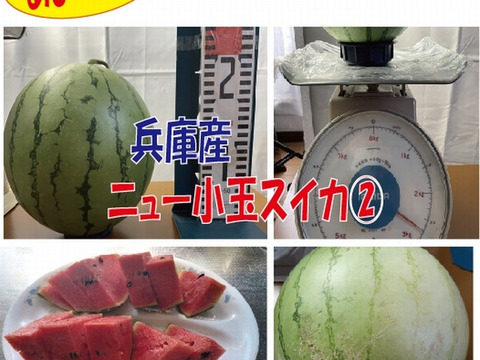 【最短発送】兵庫産　ニュー小玉スイカ1玉②2700ｇ