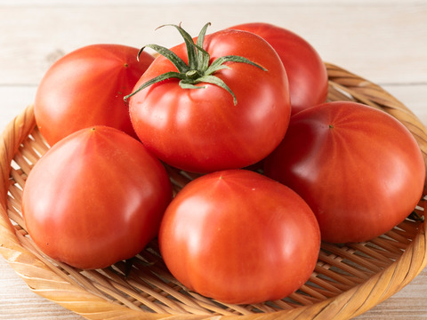【完熟】あいちの伝統野菜『ファーストトマト』小箱約1kg