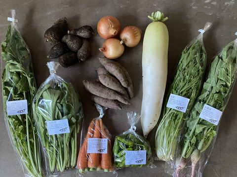 野菜セットＭサイズ（9〜10品）【農薬・化学肥料・動物性堆肥｜不使用】