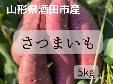【ねっとり】【熟成】山形県酒田市産　さつまいも5Kg【お買い得】【紅はるか】