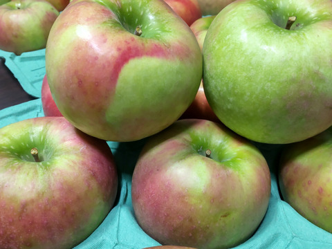 アップルパイにはこのりんご！グラニースミス　約2.5kg