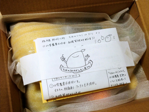 いろんなレモンのおまかせセット化学農薬不使用・希少レモン入り【柑橘食べ比べ】