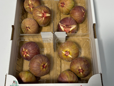 朝ちぎりいちじく　蓬莱　露路栽培　福岡県産　約300g×8パック　新田原産いちじく　約2.4キロ