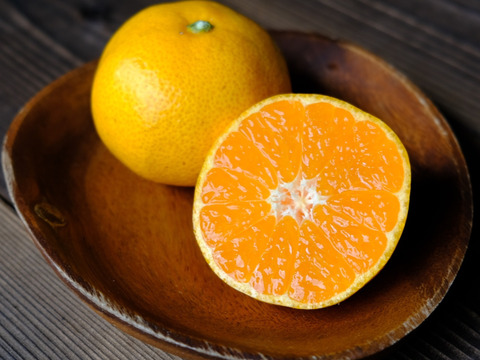 訳ありみかん【5キロ/30個〜40個 ※目安】