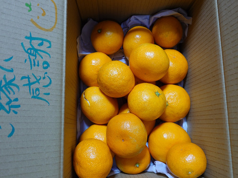 【おひとり様にオススメ】S~Mサイズ2kg とみ子ばぁばの宮川早生みかん　＜有田産>【朝市限定】