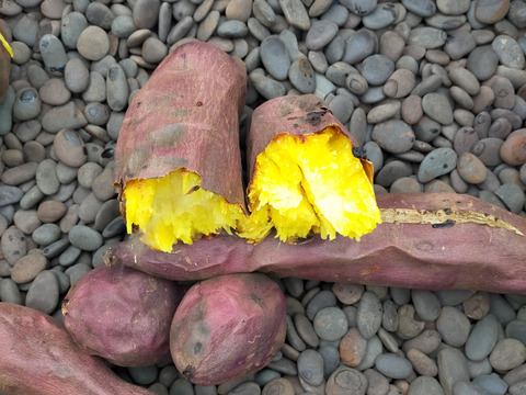 【4か月以上熟成】青森県十和田産さつまいも食べ比べ（シルクスイート/鳴門金時/栗かぐや）　4㎏