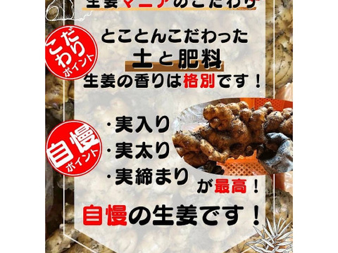 土佐の大生姜1㎏ 訳あり品 高知県産　
美味しさに変わりなし！小さいので料理に使いやすいです！