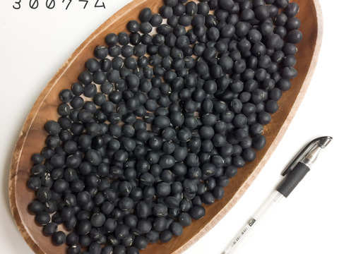 【自然栽培】B品 丹波黒大豆450g★農薬肥料不使用の兵庫県産黒豆 令和６年産