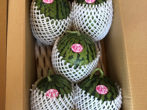 甘さ抜群！シャリシャリ小玉すいか🍉9～10ｋｇ（4玉～6玉）本州の方限定