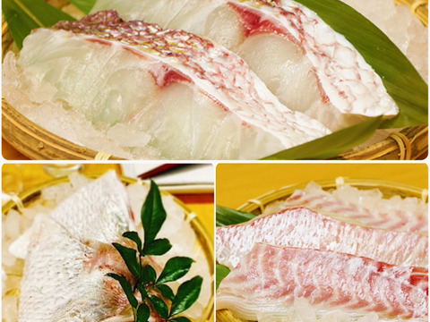 【真鯛の美味しい詰め合わせ】天草産 「真鯛お刺身用のサク&切身&カマ」セット