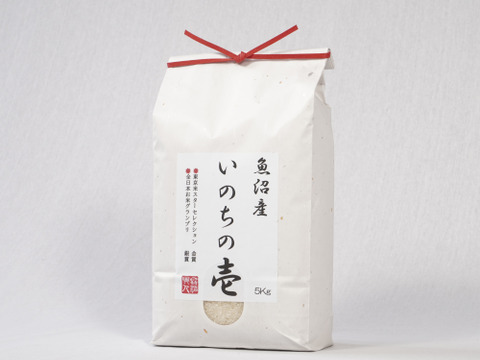 魚沼産　いのちの壱［R7年産］　 精米5Kg×2
