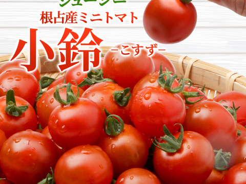 味の正統派！【小鈴】1K