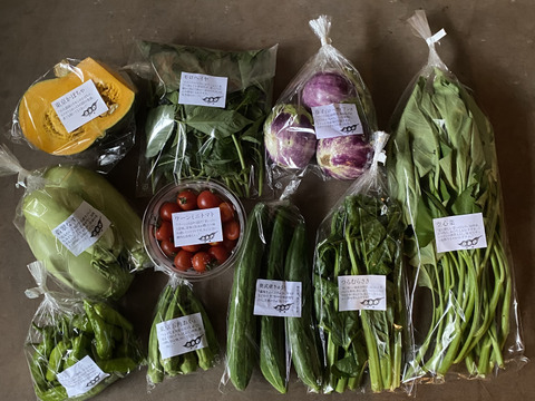 野菜セットＭサイズ（9〜10品）【農薬・化学肥料・動物性堆肥｜不使用】