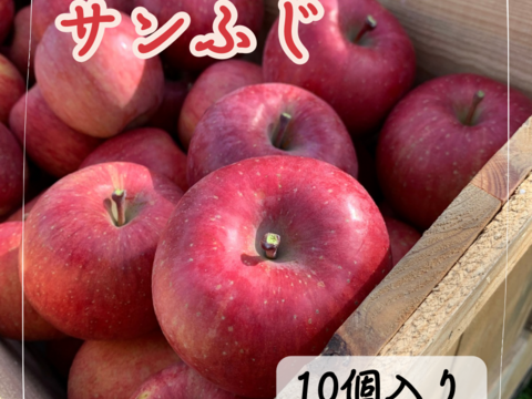 世界中で愛されてます❤️サンふじ10個