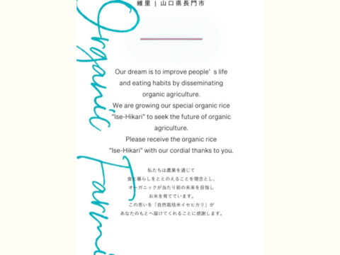 【令和７年度産】イセヒカリ白米10kg