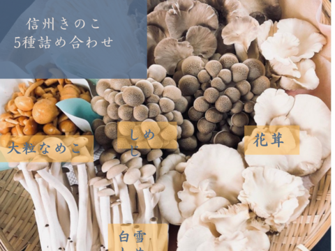 香り豊かな信州きのこ5種詰め合わせ【栽培期間中農薬不使用】