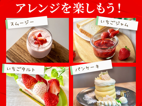 いちご うるベリー220g×2パック【冬ギフト】