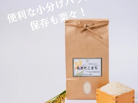 人気ブランドの新作 令和6年産】 2kg 【新米】秋田県湯沢市産あきたこまち一等 米・雑穀・粉類
