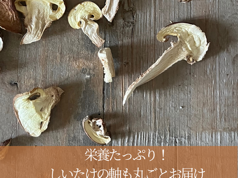 完全国産材料使用　徳島県産乾燥椎茸　100グラム　農薬、殺虫剤も不使用生産