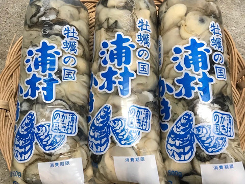 【追加販売】牡蠣好き歓喜の20%増量中！（500g）１袋 【生牡蠣】【生食用】三重県産 浦村かき むき身 牡蠣
生で食べれる衛生的な牡蠣です！
贈り物 お歳暮 熨斗対応  新年会 女子会 母の日父の日