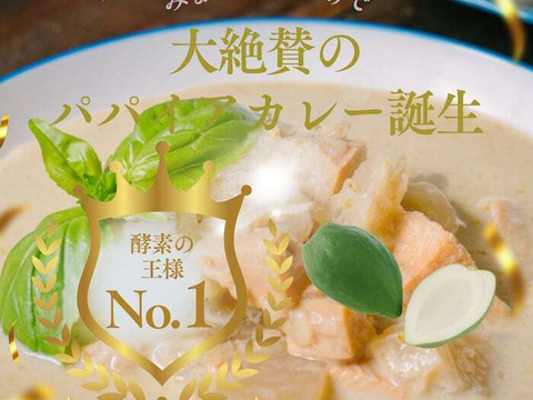 【冬ギフト】【お買い得4個セット】パパイアの主張強めのスパイシーグリーンカレー