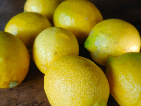 農薬不使用　香り完熟 自然栽培レモン1kg(7個前後）