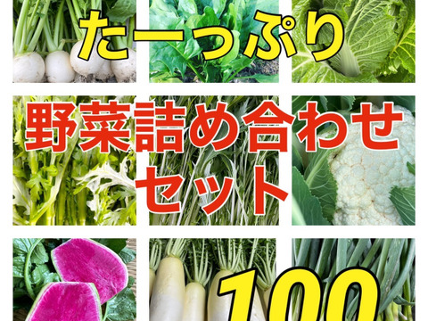 野菜詰め合わせ   野菜セット 100サイズ
