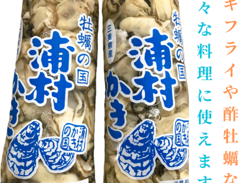 浦村かきの詰め合わせセットB【漣】生食用むき身500g×1本、牡蠣の佃煮×2パック(100g)、牡蠣のグレープシードオイル漬け×1瓶(170g) 三重県産 贈り物 熨斗対応 プレゼント【冬ギフト】