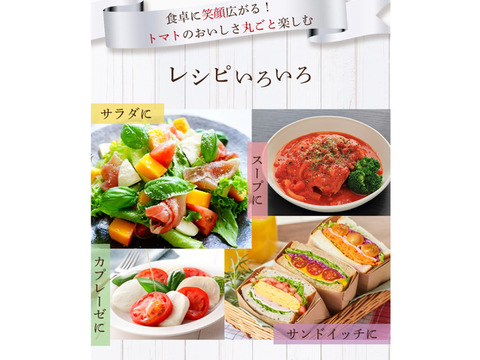 予約1月下旬から順次発送【特別栽培農産物の取得】＼極み／ソムリエトマト１.３kg （６玉から１０玉）ソムリエミニトマト　プラチナ500g　ダイヤ500gのセット