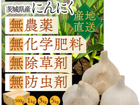 ★『農薬・化学肥料・除草剤・防虫剤等不使用』 福地ホワイト六片 にんにくバラ  ５kg ★