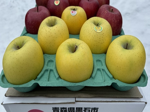 蔵出し春りんご　葉とらずサンふじ＆シナノゴールド　約3キロ　農家直送青森りんご