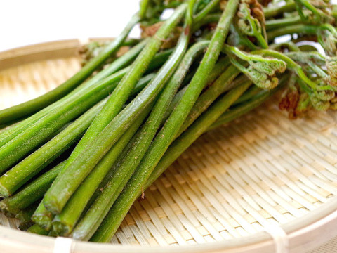 国産天然なめこ+山菜ミックス水煮 各1袋 山形産