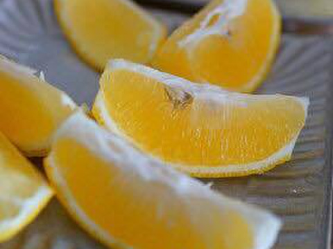 食べる「レモネードレモン＋赤レモン＋リスボンレモン＋ジャンボレモン」の4種類セット