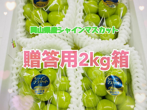 【お中元】【ギフト】厳選！農家直送！　晴れの国岡山のシャインマスカット【贈答用】2kg 4~5房入り
(クレジットカード決済限定)