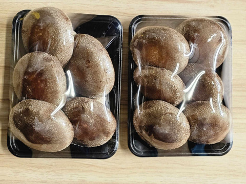 【夏ギフト】徳島県産三ツ星しいたけ「夏華（なつか）」300g×2パック