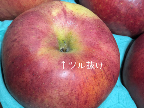 【訳あり】『なかの真紅』　約2.7kg【希少品種】