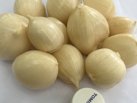 バラ 生にんにく (3kg) 掘りたて