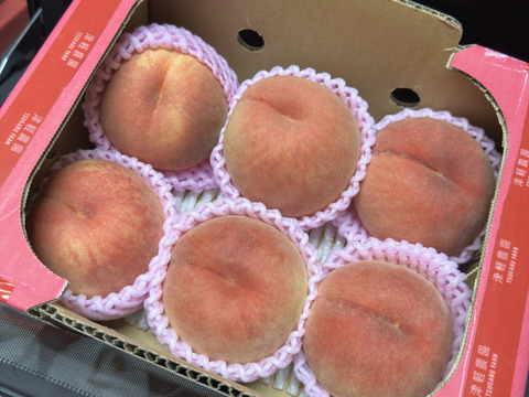 希少な桃　美桃紅　1.5kg 5玉前後　8月下旬【ASIAGAP認証農場：津軽農園】　安心・安全な桃　収穫した日に発送　家庭用　農家直送【朝どれ】