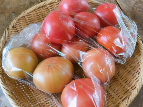 ぜひ一度！！常温便【むらざと自然農園のトマト約2キロ】とってもおいしいです！！