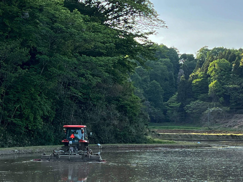 【令和7年産新米】特別栽培米コシヒカリ（玄米）5kg　石川県産