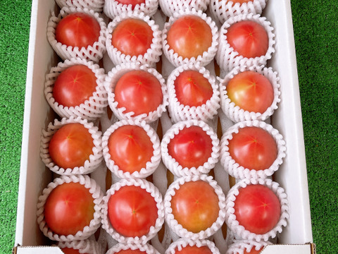 【ありさん専用】【24粒入り】SMサイズのこてらんねぇトマト
