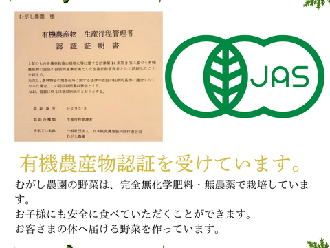 【販売開始！希少！青森県産有機JAS認証大豆3キロ】遺伝子組み換え技術不使用