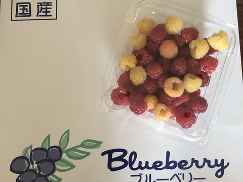【有機JAS認証】北海道産フレッシュオーガニックラズベリー 100g×４パック