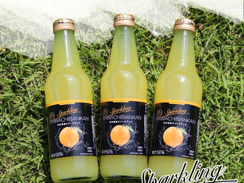 【訳あり】河内晩柑スパークリング340ml×6本