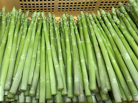 北海道産！夏の青空アスパラ Lサイズ(2kg)：北海道産のゼン