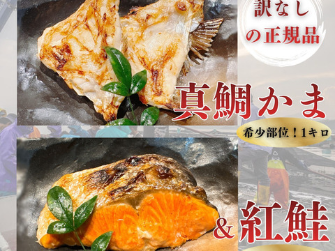 【紅鮭 切り身 約0.8キロ】＆【沼津 鯛 カマ 約1キロ】 セット 合計1.8kg
