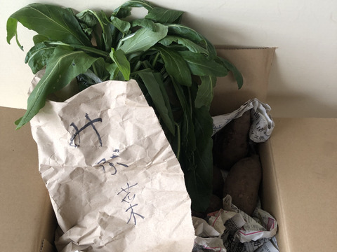 専用　里芋　農薬不使用　やはた芋＆野菜セット　80size 楽天市場】【ふるさと納税】野菜詰め合わせ ＆ 牛乳 600ml 有機野菜