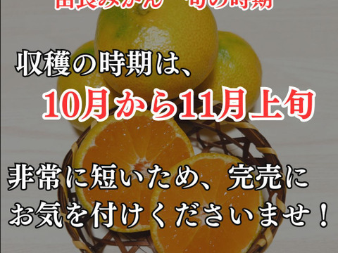 【冬ギフト】みかん ゆら早生 【 訳ありみかん 4.5キロ箱込】ご用意でき次第発送 由良みかん 西浦みかん 訳あり 静岡産 蜜柑 果物 フルーツ 柑橘 訳あり果物  お歳暮